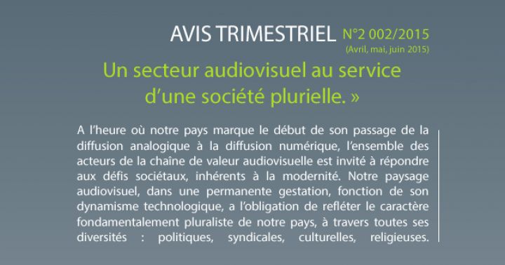 pavet_avis_Trimestriel_N2_2015.jpg